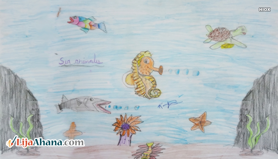 Sea Animals Drawing With Colour