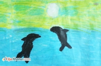 Dolphin Fish Kid Drawing