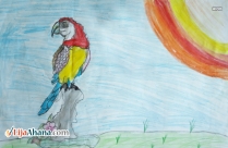 Parrot Kid Drawing